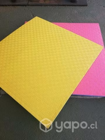Tatami bicolor