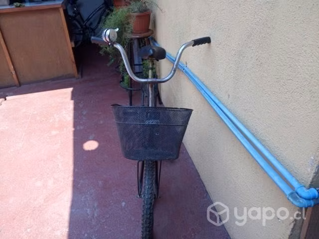 Bicicletas