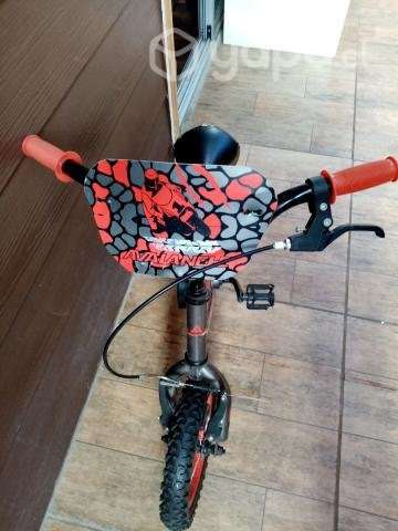 Bicicleta - Imagen 2