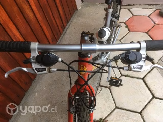 Oportunidad navideña