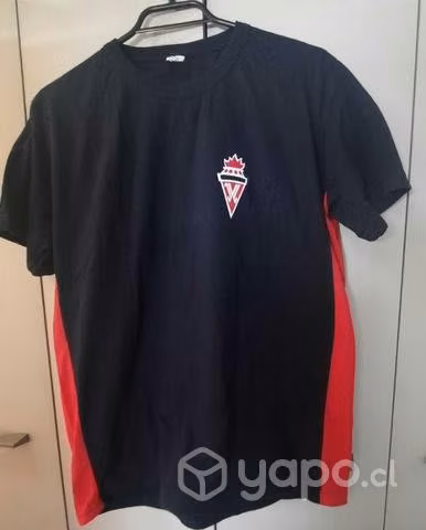 Polera educación física Liceo Lastarria