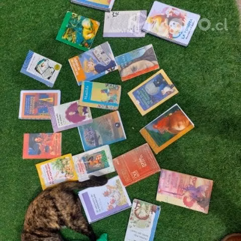Libros para el colegio
