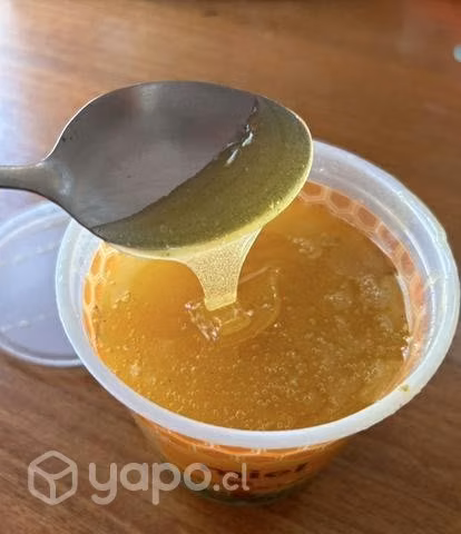 Miel de ulmo