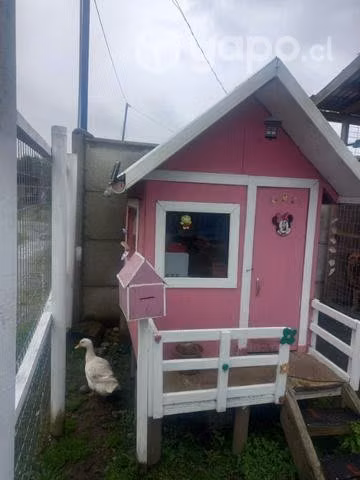 Casa de clud para las y los regalones