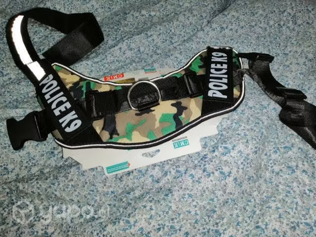 Arne pará perro