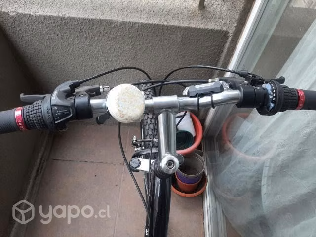 Bicicleta oxford