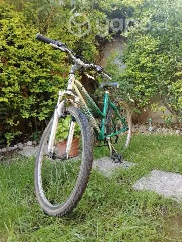 Bicicleta oxford