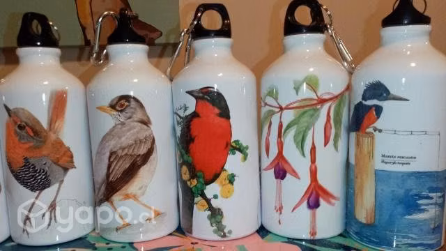 botellas, tazas, poleras, credenciale