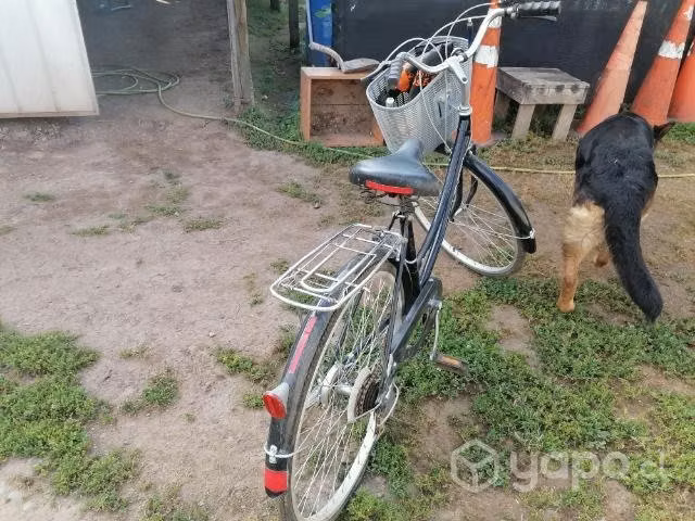 Bicicleta de mujer lahsen provenza