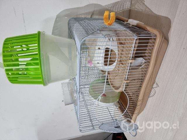 Jaula hamster ardilla - Imagen 3