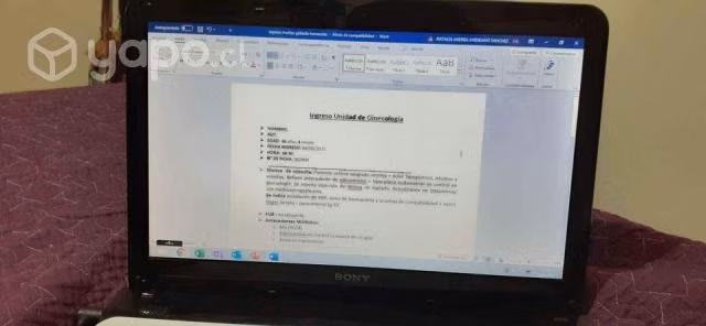 Notebook Sony Vaio