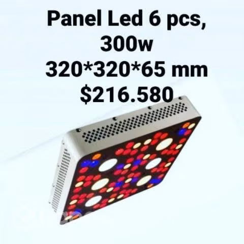 Iluminación para Cultivos - Imagen 4