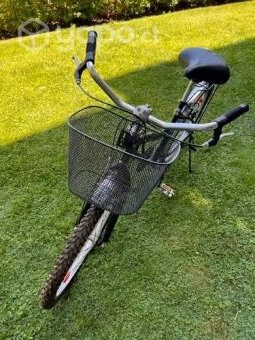 Bicicleta Paseo Negra Impecable