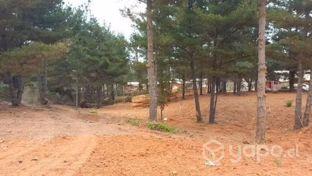 Terreno laguna verde 500m2