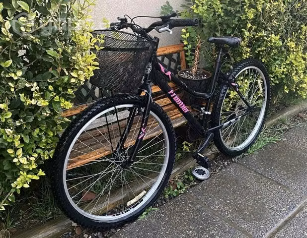 Bicicleta de paseo