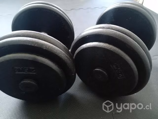 Mancuernas 25kls - Imagen 2