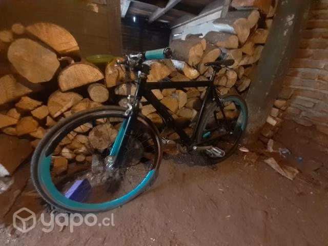 Fixie Urban Ride