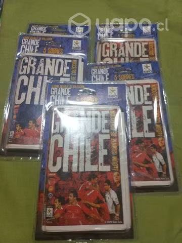 Sobre Salo Grande Chile 2009