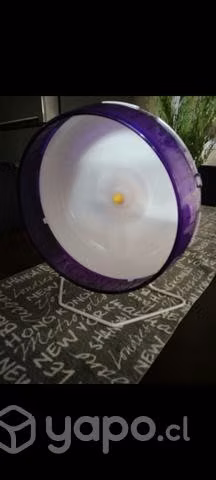Jaula + rueda de ejercicio