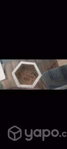 Maceta hexagonal cemento - Imagen 2