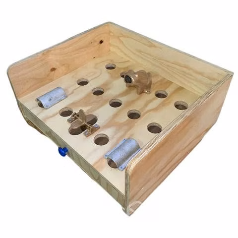 Juego del sapo - Imagen 2
