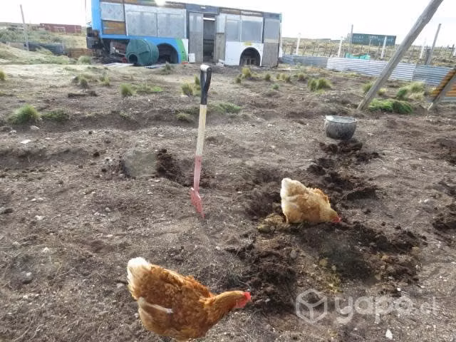 Parcela con casa sector mina rica