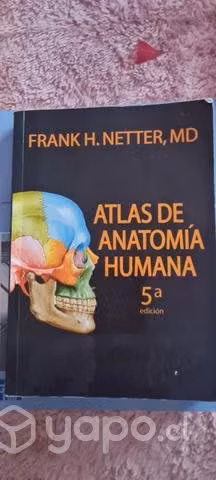 Atlas anatomia humana 5 edición