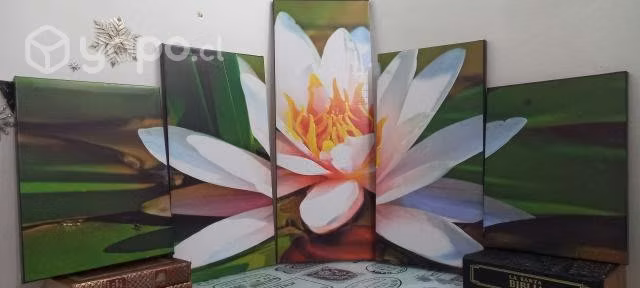 Cuadros personalizados y cortinas roller a medida