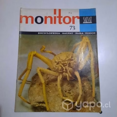 Revista monitor 2