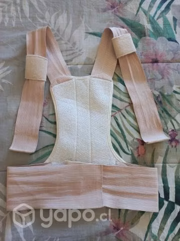 Faja arregladora de postura