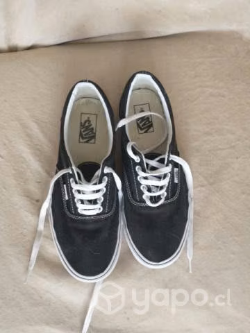 Vans N°42