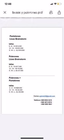 Buzos liceo brainstorm y otros