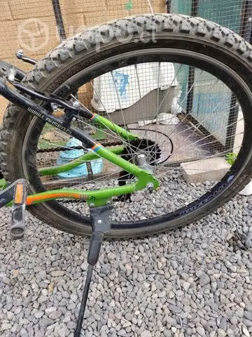 Bicicleta Lahsen - Imagen 2