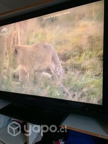 Televisor Sharp