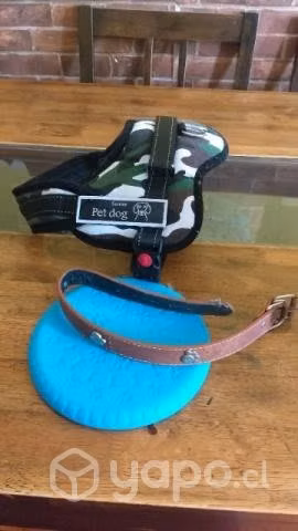 Collar + arnes + disci juguete para perros