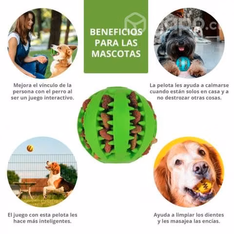 Juguete Bola Con dientes para perros #LVL5132