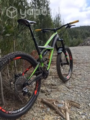 Specialized Enduro S-Works