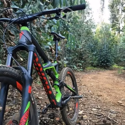 Specialized Enduro S-Works
