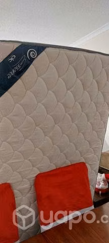 Cama de transición