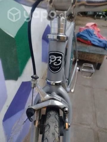 bicicleta P3