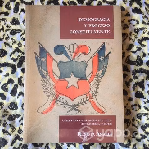 Democracia y proceso constituyente