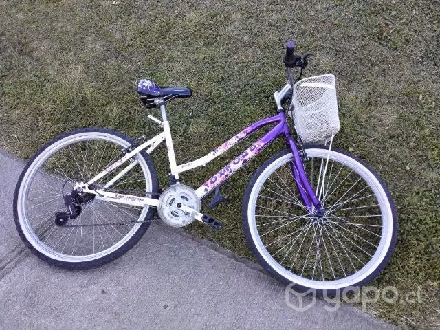 Bicicleta Oxford talla 24