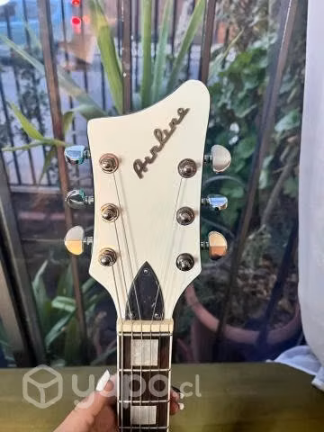 Guitarra Airline Map 59