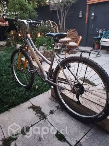 Bicicleta Bianchi