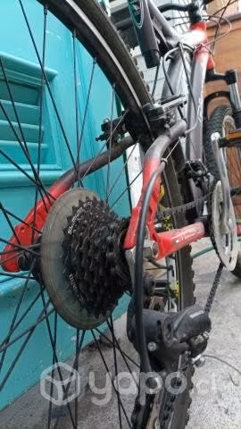 La bici regalona