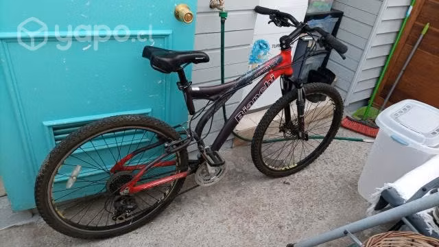 La bici regalona - Imagen 3