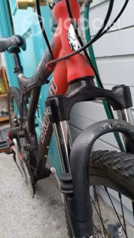 La bici regalona - Imagen 2