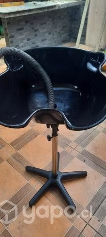 Lavapelo portatil
