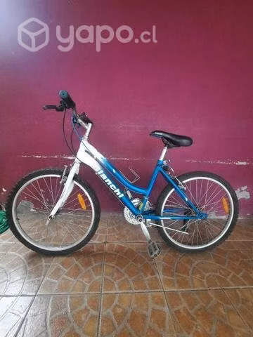 2 Bicicletas bmx y bianchi precio conversable