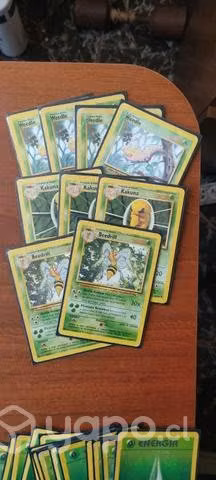 Mazo cartas Pokemon